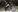 Blazerina's photo