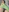 Miss_Elia's photo