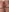 Fan club up close pussy