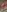 Zander823's photo