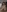 3littles's photo