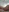 SofiSoft's photo