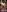 Squirtmania's photo