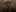 ivosforest's photo