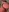 random sexual photos