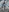 SunshineLexi's photo
