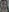Camera roll from 2019 to 2026