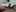 Dick