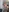 misssp0isonivy's photo