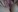 Furry_Foxxy's photo