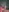 Rajkumar_X's photo