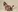 Damn Seduction