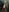 callmeanny_'s photo