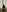 serena_willow's photo