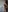MadissonSoft's photo