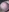 DeepSecret0's photo