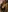 Lissa_Kim1's photo