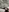 FriendlyFire_18's photo
