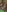 LauLauPAWG's photo