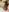single nude pic pack