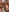 BunnyWilde's photo