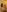 Emma-Thai's photo