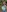 charlotteone's photo