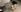 SCREENSAVERS FOR ALL STREAMS