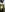 Will_bzzz's photo