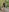 Einfach ich