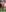 super-snoopy's photo