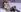 Talori's photo