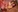 LiahParker's photo