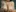 Raaccheell's photo