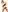 Lady_Adrianna's photo