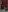 EmmaRusellx's photo
