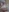 Bella_Gloria's photo