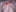 vanesssasugar's photo