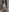 Milky_flexy_cat's photo