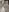 🐰USAと北海道デート💕彼女目線🥰ver写真