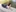 Couple-in-love's photo