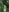 Risky Outdoor: Naked in the forest