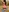 Im Bikini im Wald
