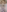 Full Nude Closeup