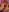 NanaCat_'s photo