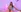Sol_Vanegas's photo