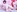 プリンス限定👑裸エプロン💗+🐮ビキニ
