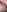 Cameltoy_squirt_inPants's photo
