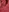 mrs_Bella_'s photo