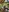 shelby_kutter's photo